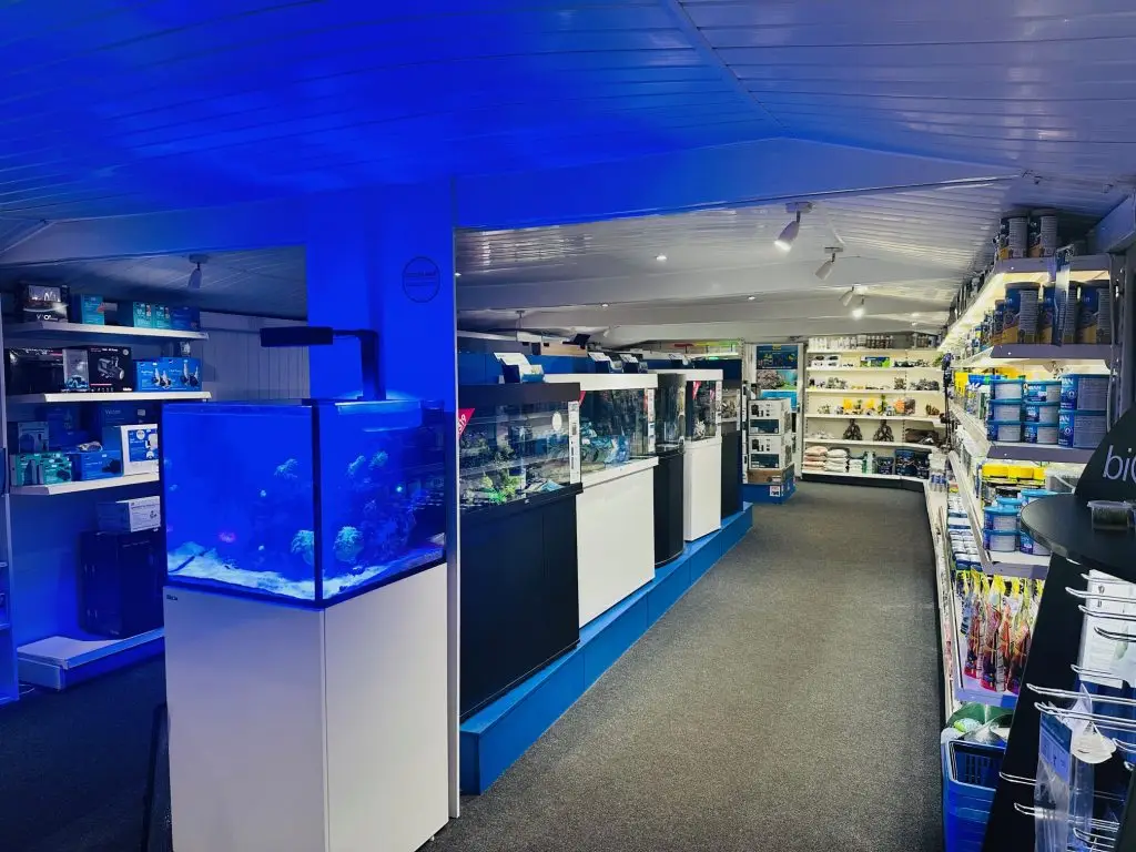 Marine section of an aquatic shop featuring coral display tanks, aquarium equipment, and shelves stocked with fishkeeping supplies