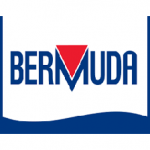 bermuda logo