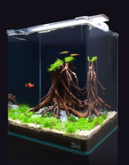 Aquatlantis Kubus Curve Aquarium