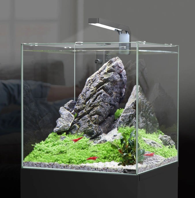 Aquatlantis Kubus Aquarium