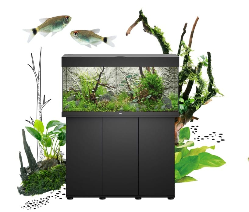 Juwel Rio Aquarium