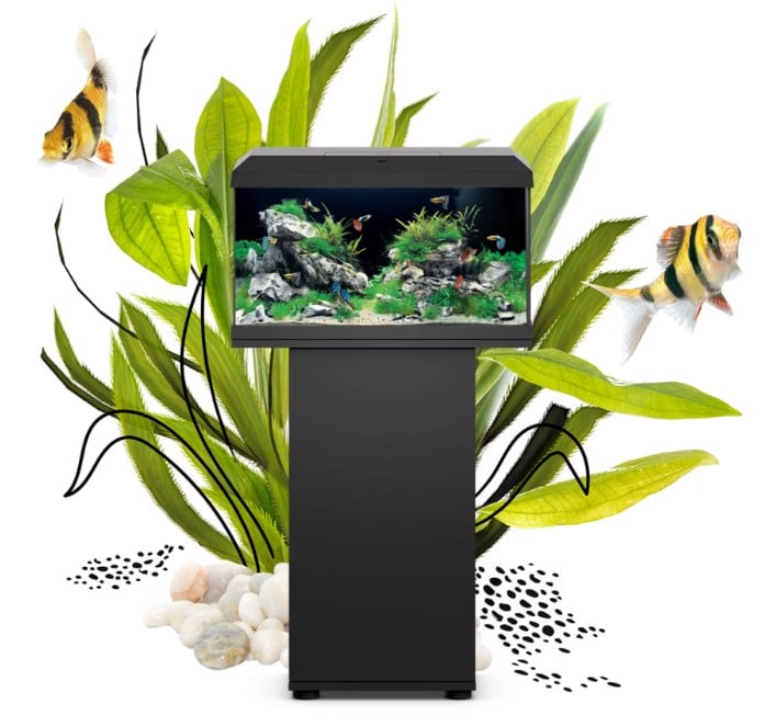 Juwel Primo Aquarium