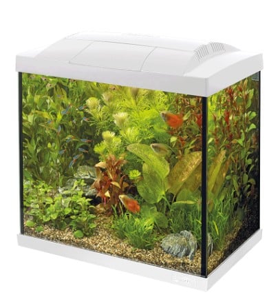 superfish start30 aquarium